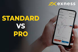 Discover the World of Trading with Exness Bangladesh