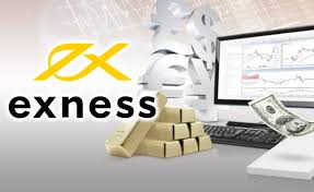 Discover the World of Trading with Exness Bangladesh